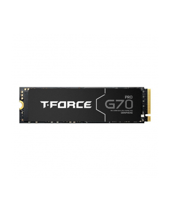 Dysk SSD Team Group T-FORCE G70 Pro 2TB M.2 PCIe NVMe Gen4 x4 (7400/6800) SLC