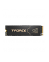 Dysk SSD Team Group T-FORCE GE PRO 4TB M.2 PCIe NVMe Gen5 x4 (14000/11800) SLC - nr 1