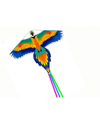 inni Latawiec ptak długi ogon kolorowy 15988