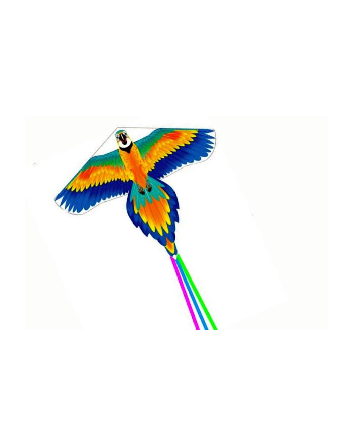 inni Latawiec ptak długi ogon kolorowy 15988 główny