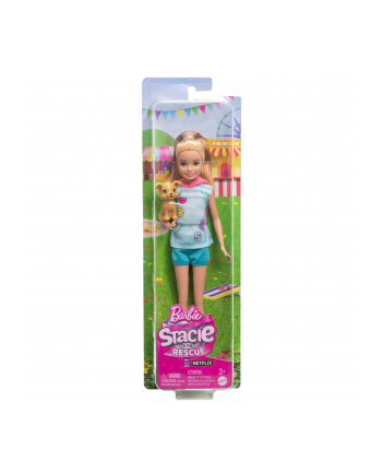 Mattel Barbie Family ' Friends Stacie $10 Doll