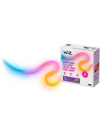 no name WiZ | Inteligentna listwa świetlna WiFi Neon Flex 3m Type-C | 24 W | RGB