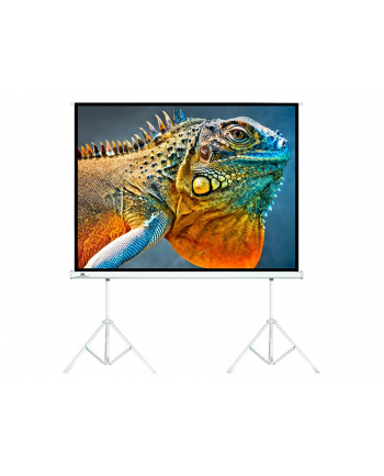 Ekran projekcyjny Maclean, na dwóch statywach, 150'';, 4:3, 300x225, MC-712 2części