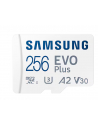 SAMSUNG EVO PLUS microSD 256GB 2024 incl. SD Adapter memory card UHS-I U3 Full HD and 4K UHD 160 MB/s read - nr 1