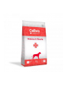 CALIBRA Veterinary Diets Diabetes /Obesity - karma dla psa - 12 kg - nr 1