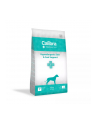 CALIBRA Veterinary Diets Hypoallergenic  Skin 'amp; Coat Support - karma dla psa - 12 kg - nr 1