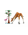 LEGO 31150 CREATOR Dzikie zwierzęta z safari p3 - nr 1