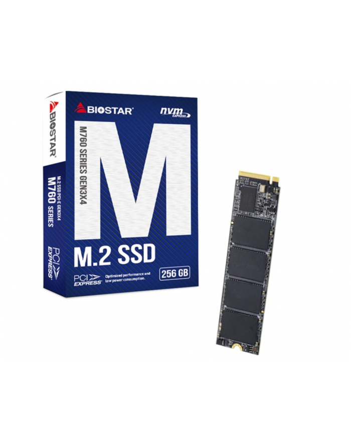Dysk SSD Biostar M760 256GB główny