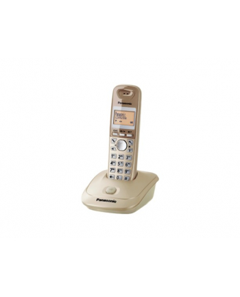 Telefon Panasonic KX-TG2511PDJ