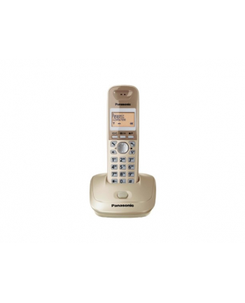 Telefon Panasonic KX-TG2511PDJ