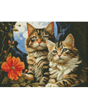 inni Diamentowa mozaika 30x40cm Magiczne kocięta