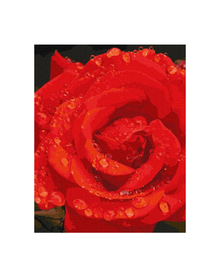 ideyka Malowanie po numerach 40x50cm Róża w diamentach główny