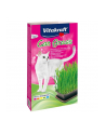 VITAKRAFT CAT GRASS zestaw dla kota 120g - nr 1