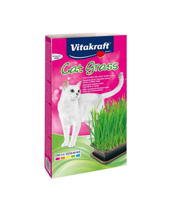 VITAKRAFT CAT GRASS zestaw dla kota 120g