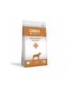 CALIBRA Veterinary Diets Gastrointestinal łosoś - sucha karma dla psa - 2 kg - nr 1