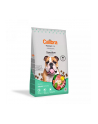CALIBRA PREMIUM Dog Sensitive  jagnięcina - karma dla psa - 12 kg - nr 1