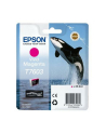 EPSON T7603 ink cartridge vivid magenta high capacity 25 9ml 1356 pages 1-pack - nr 2