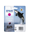 EPSON T7603 ink cartridge vivid magenta high capacity 25 9ml 1356 pages 1-pack - nr 5