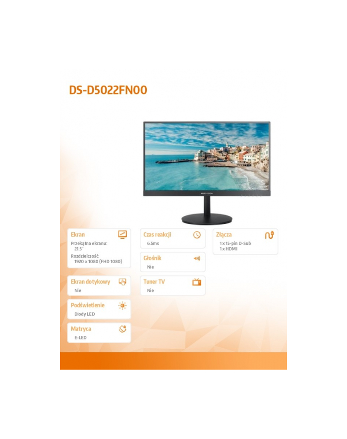 hikvision Monitor DS-D5022FN00 główny