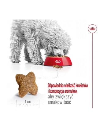 ROYAL CANIN SHN Mini Adult BF 8kg