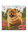 ideyka Haft diamentowy bez ramy Diamentowa mozaika 40x40cm Charming Chow - nr 1