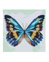 ideyka Malowanie po numerach 25x25cm Błękitny motyl - nr 1