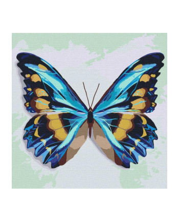 ideyka Malowanie po numerach 25x25cm Błękitny motyl