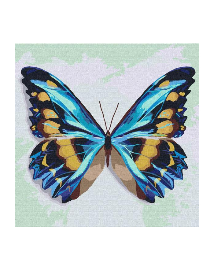 ideyka Malowanie po numerach 25x25cm Błękitny motyl główny