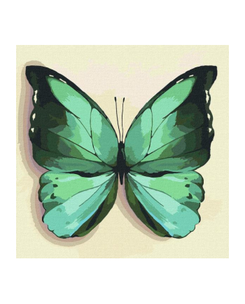 ideyka Malowanie po numerach 25x25cm Zielony motyl