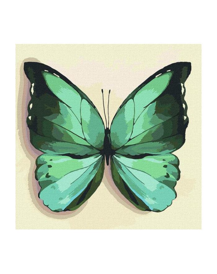 ideyka Malowanie po numerach 25x25cm Zielony motyl główny