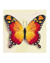 ideyka Malowanie po numerach 25x25cm Pomarańczowy motyl - nr 1