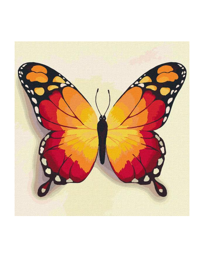 ideyka Malowanie po numerach 25x25cm Pomarańczowy motyl główny