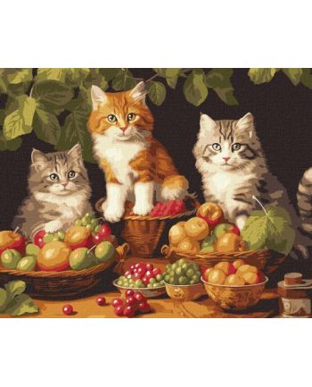 ideyka Malowanie po numerach 40x50cm Koty i owoce