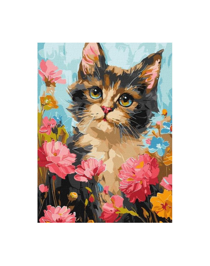 ideyka Malowanie po numerach 30x40cm Puszysty kot w kwiatach główny
