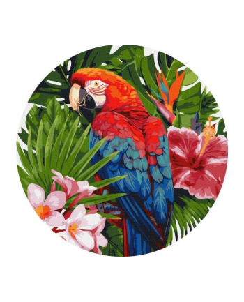 ideyka Malowanie po numerach okrągłe Jasna papuga