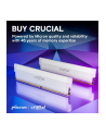 crucial Pamięć DDR5 Pro Overclocking 32/6000(2*16GB) CL36 biała - nr 28