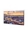 samsung Monitor profesjonalny VH55C-E 55 cali Video Wall Matowy 24h/7 700(cd/m2) 1920x1080 (FHD) Ramka: 1.3mm (U/L), 0.44 (B/R) 3 lata d2d (LH55VHCEBGBXEN) - nr 45
