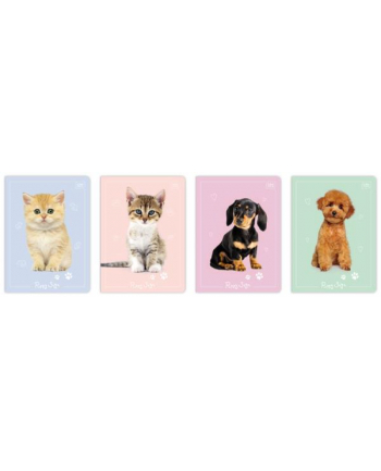 interdruk Zeszyt A5 16 kartek 3 linia kolor 70g UV Puppy Sign