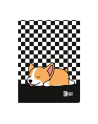 majewski Teczka z gumką A4 ST.RIGHT Sleepy Corgi  cena za 1 sztukę - nr 1