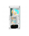 GIGABYTE C301 GW V2, tower case (Kolor: BIAŁY, tempered glass) - nr 6