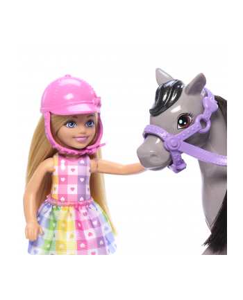 Mattel Barbie Family ' Friends Chelsea and Pony Doll