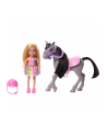 Mattel Barbie Family ' Friends Chelsea and Pony Doll - nr 1