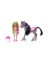 Mattel Barbie Family ' Friends Chelsea and Pony Doll - nr 21