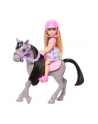 Mattel Barbie Family ' Friends Chelsea and Pony Doll - nr 2