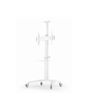 gembird Stojak Aluminiowy pod telewizor mobilny biały 37-70 cali - nr 10