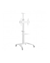 gembird Stojak Aluminiowy pod telewizor mobilny biały 37-70 cali - nr 1