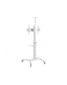 gembird Stojak Aluminiowy pod telewizor mobilny biały 37-70 cali - nr 2