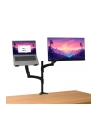 trust Uchwyt MARA na monitor i laptopa - nr 17