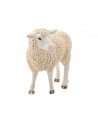 Schleich 13882 Owca (17075) - nr 3