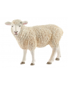 Schleich 13882 Owca (17075) - nr 1